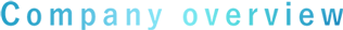 Company overview